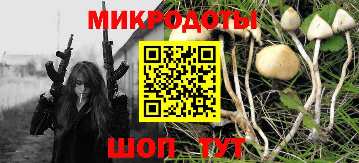 Галлюциногенные грибы мухоморы Алатырь